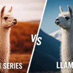 Llama 1 Series VS Llama 1