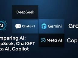 deepseek api key VS meta ai chat