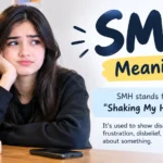 SMH Meaning