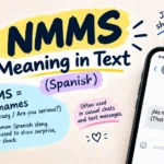 NMMS Meaning in Text