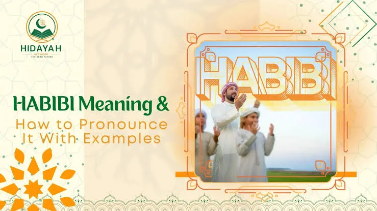 Educational infographic explaining the meaning of Habibi in Arabic, including pronunciation, origin, Habibi vs Habibti, cultural significance, and TikTok slang usage.