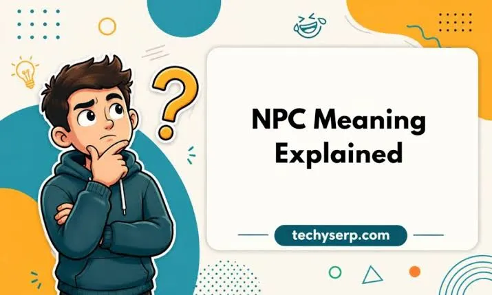 NPC Meaning