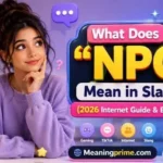 NPC Meaning