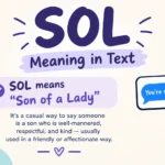 SOL Meaning in Text