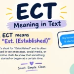 ECT Meaning in Text