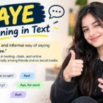 AYE Meaning in Text