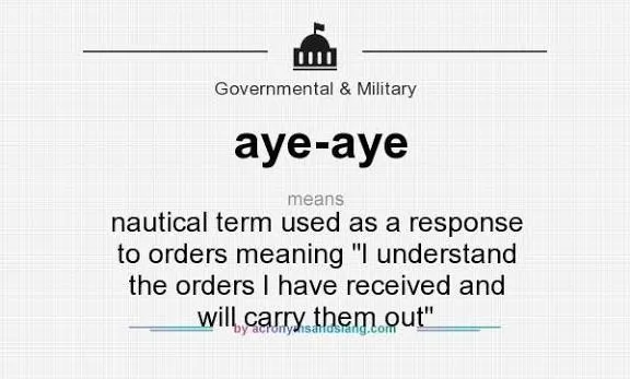 AYE Meaning in Text