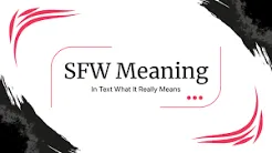 SFW Meaning in Text